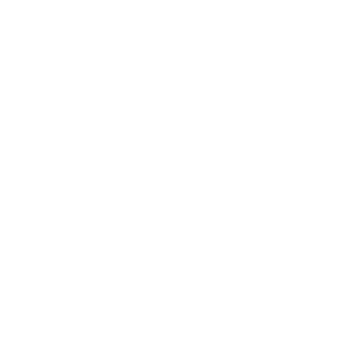 IT Consulting & Strategy