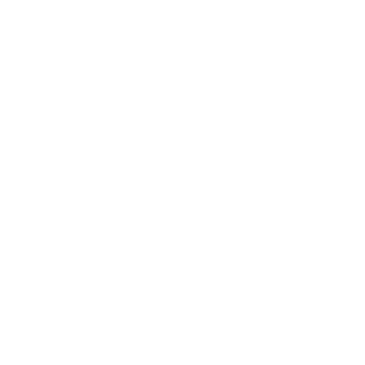 Software Development Services